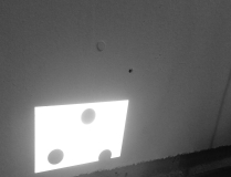 Projection